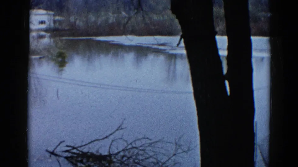Home-movie frame from Wauconda in 1961 showing floodwater, distant residential structures, utility lines, and silhouetted tree trunks.