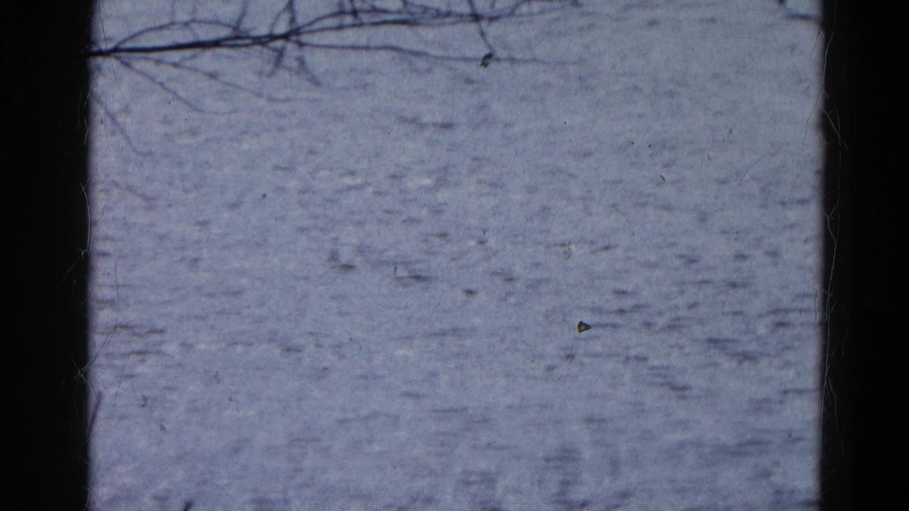 Rippling cold water seen through dark window framing and bare branches.