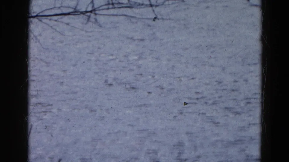 1961 Wauconda home-movie frame showing rippling lake water through dark window framing with bare branches at the edge.