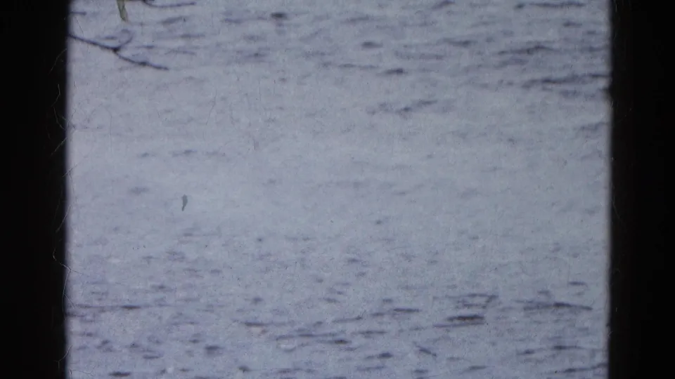 1961 home-movie frame of cold lake water seen past a dark interior frame, with sparse branches along the side.
