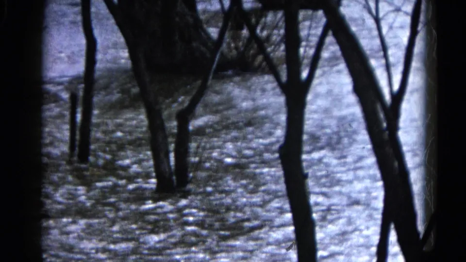 Blue-tinted 8mm view of floodwater running through bare trees in Wauconda, Illinois.