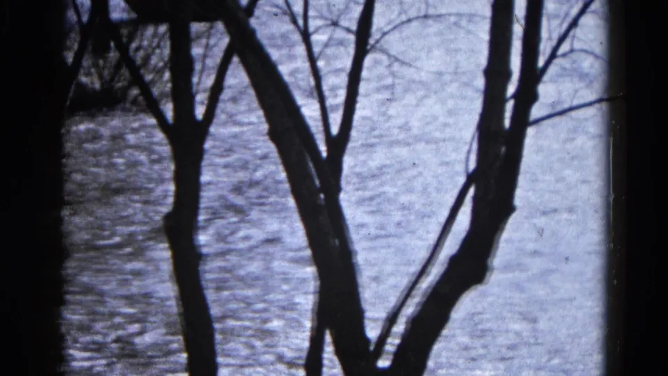 1961 home-movie frame with leafless trunks crossing a bright floodwater surface.