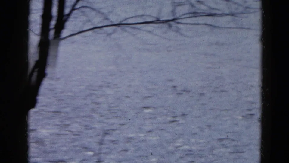 Wauconda flood footage frame showing broad water coverage, tree silhouettes, and overhanging branches.