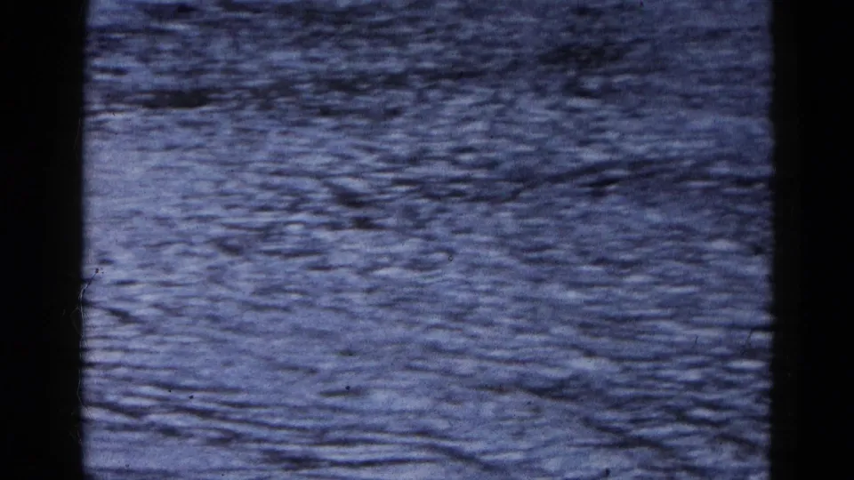 A 1961 Wauconda flood scene viewed past dark tree trunks, with water covering the street below.