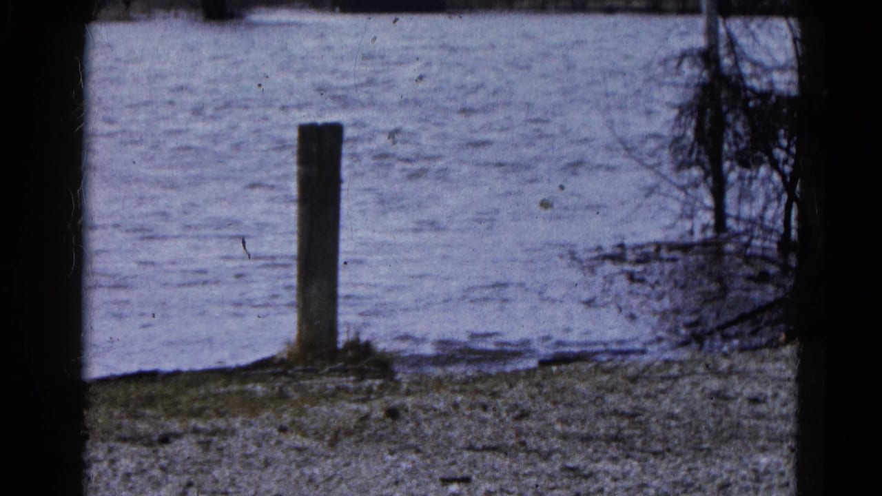 Flooded water beside a wooden post and bare shoreline brush.