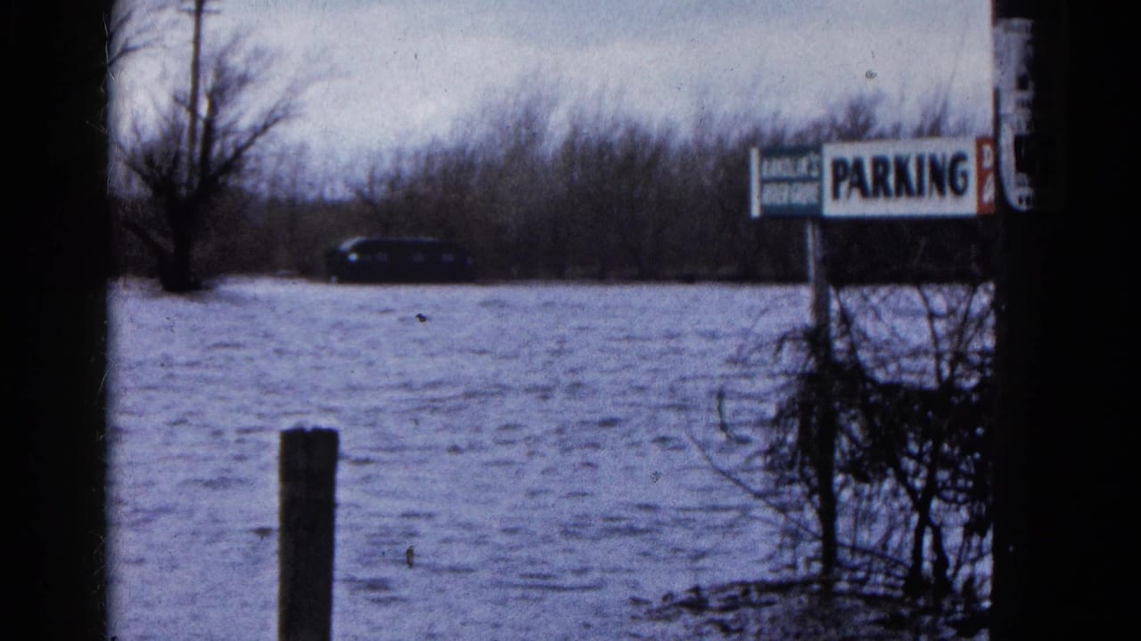 1961 Wauconda, Illinois floodwater scene with a partly submerged parking sign, bare trees, a dark car, brush, and a wooden post.