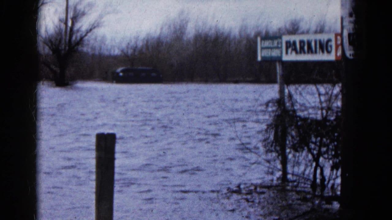 Flooded ground with rippling water, bare trees, a dark car, brush, and a parking sign at right.