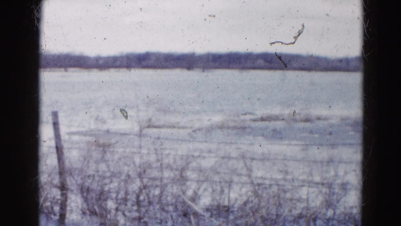 Frozen field behind a wire fence with winter brush and a distant tree line.