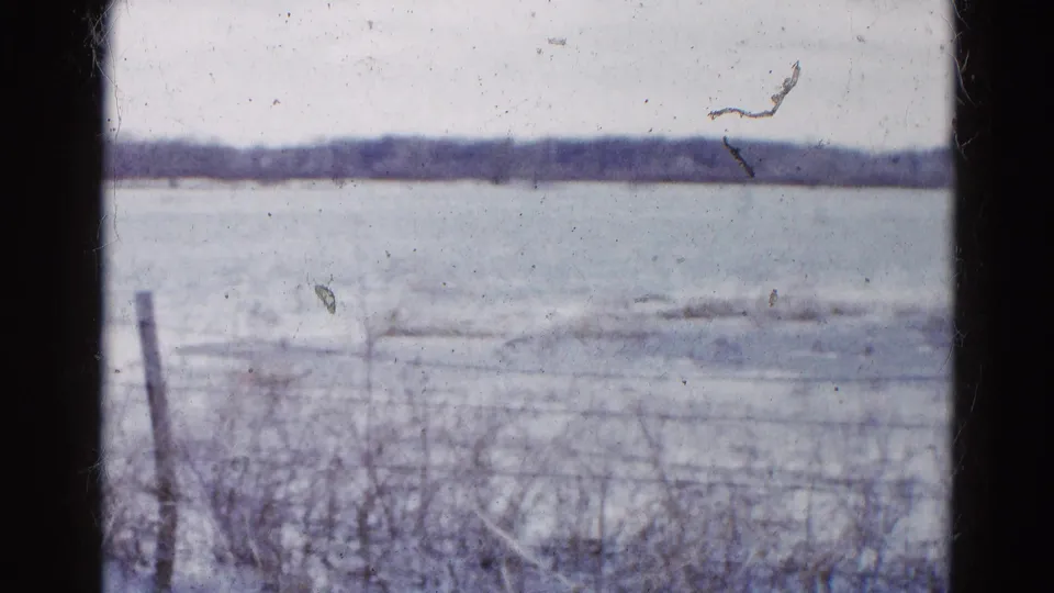 1961 Wauconda, Illinois home-movie frame showing a frozen field behind a wire fence under a pale winter sky.