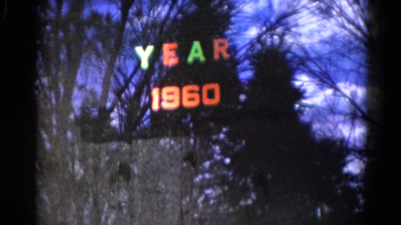 Colored YEAR 1960 sign reflected over bare trees and blue sky.