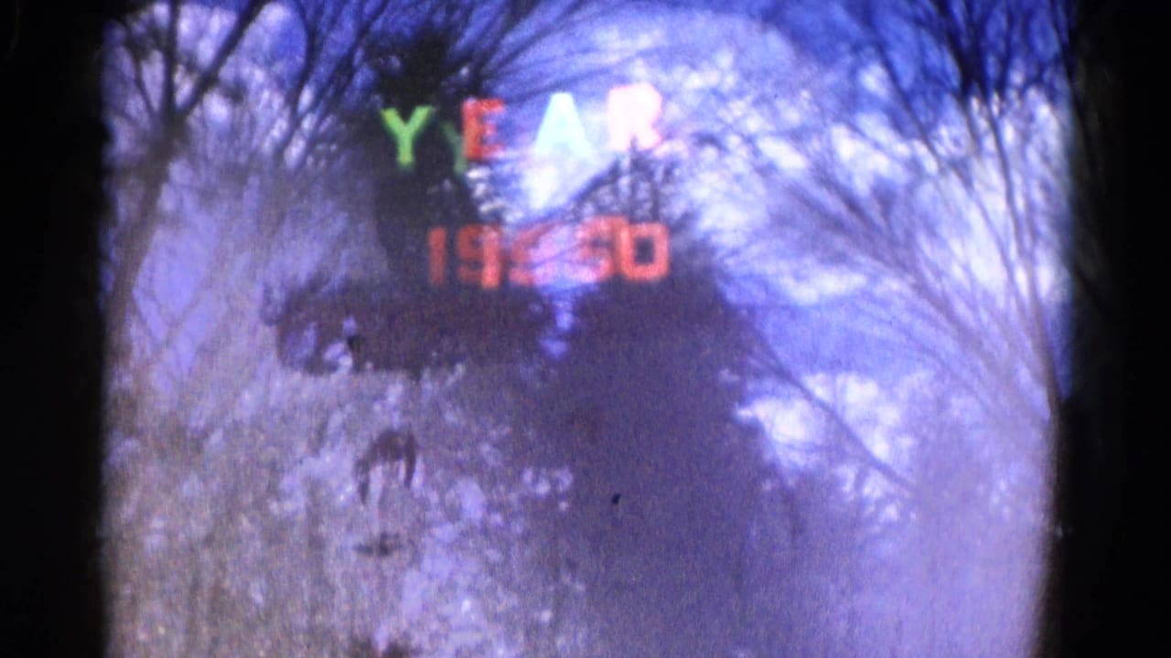 Bare winter trees behind a soft colored “YEAR 1960” title.