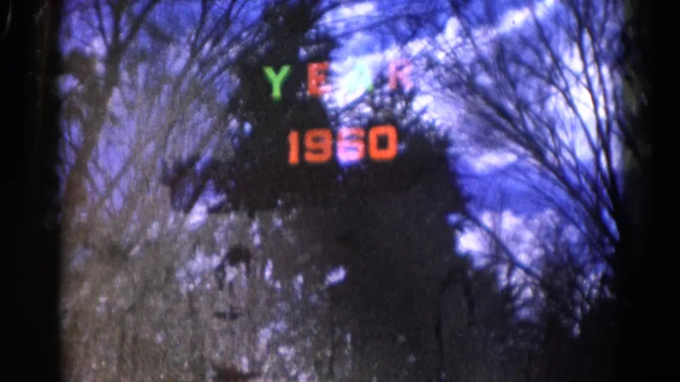 A soft 8mm view of bare Wauconda trees with the colored “YEAR 1960” title hovering over a dark central tree shape.