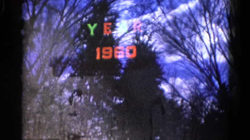 Wauconda home-movie frame showing bare winter branches and a dark tree mass beneath a soft colored “YEAR 1960” overlay.