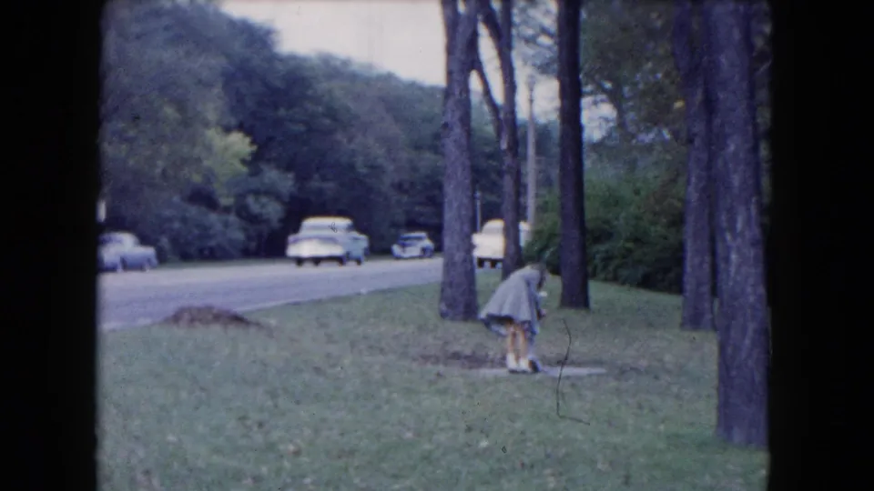 A child bends near the base of a roadside tree while several mid-century cars travel or sit along the South Carolina road.