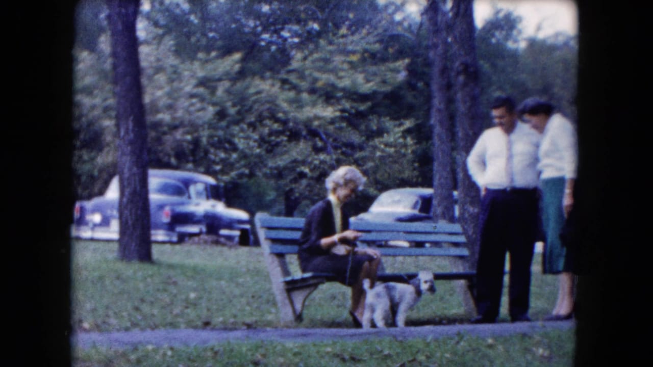 Woman seated on a park bench with a small dog as two adults stand nearby.
