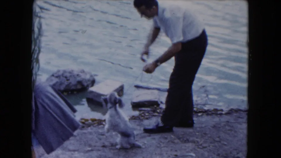 A man bends down toward the small dog near the pond shoreline, with water and rocks behind them in the 1961 park footage.