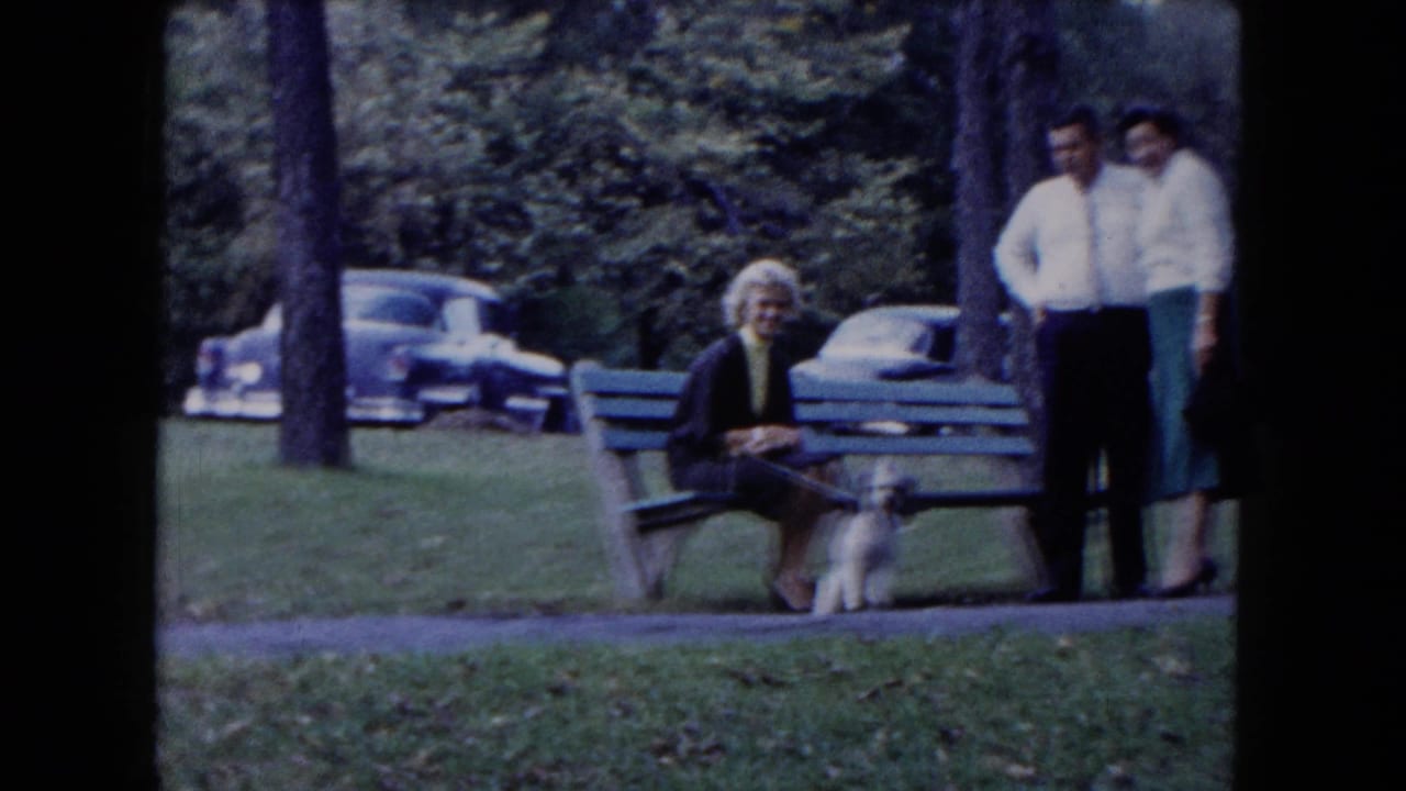 Woman seated on a park bench with a small dog as two adults stand nearby and cars sit behind trees.