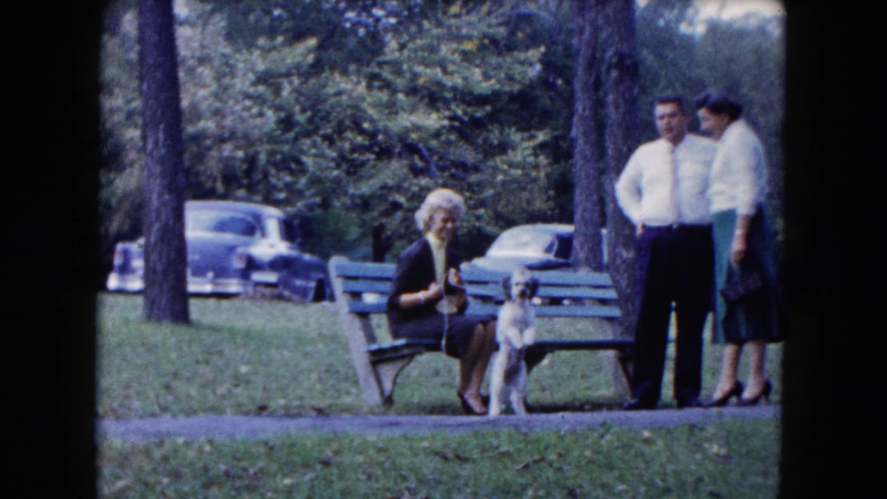 Small dog stands by a seated woman on a bench while adults stand at the right and cars are parked behind.