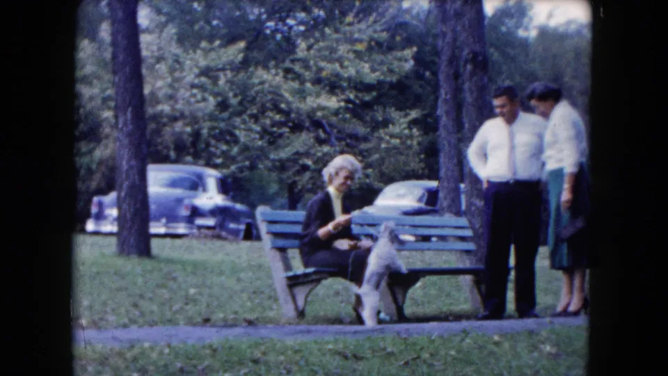 1961 South Carolina park footage with a seated woman attending to a small dog, two adults standing close by, and cars visible through trees.