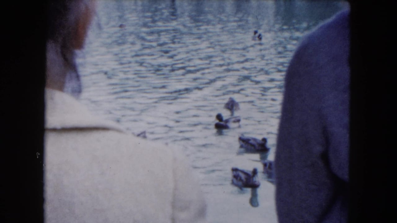 Two people seen from behind beside a pond with ducks swimming nearby.