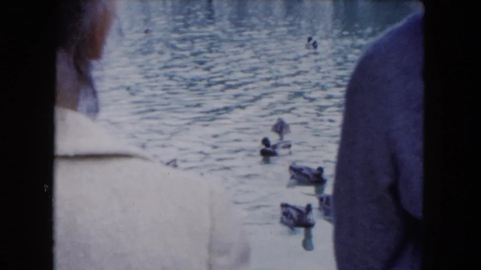 In 1961 South Carolina home-movie footage, two adults stand at the edge of a pond while ducks move across the rippling water.