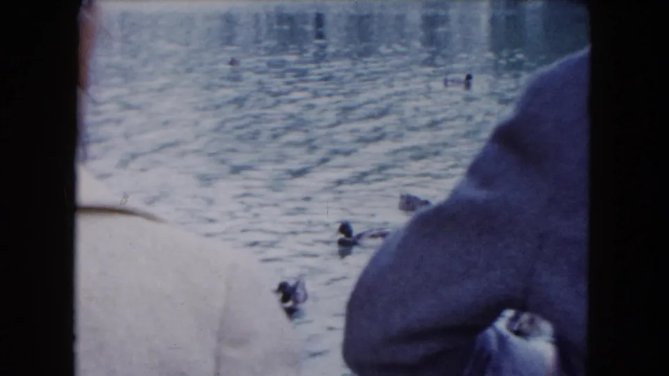 Two partially framed adults look toward ducks swimming across a pond in 1961 South Carolina home-movie footage.