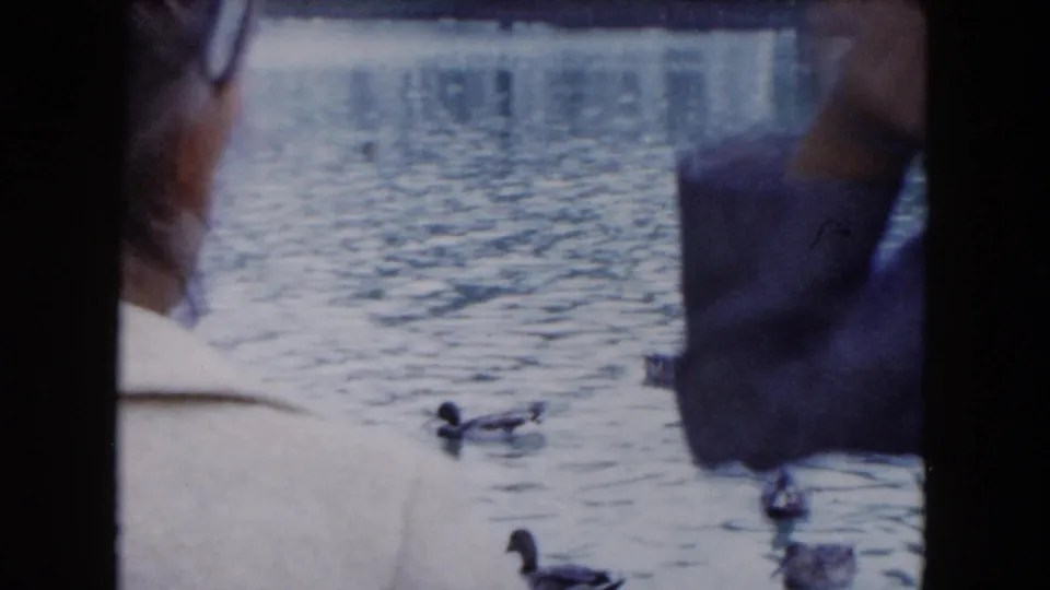 A light-coated adult is seen from behind near a pond as ducks pass through the lower frame in archival 8mm footage.