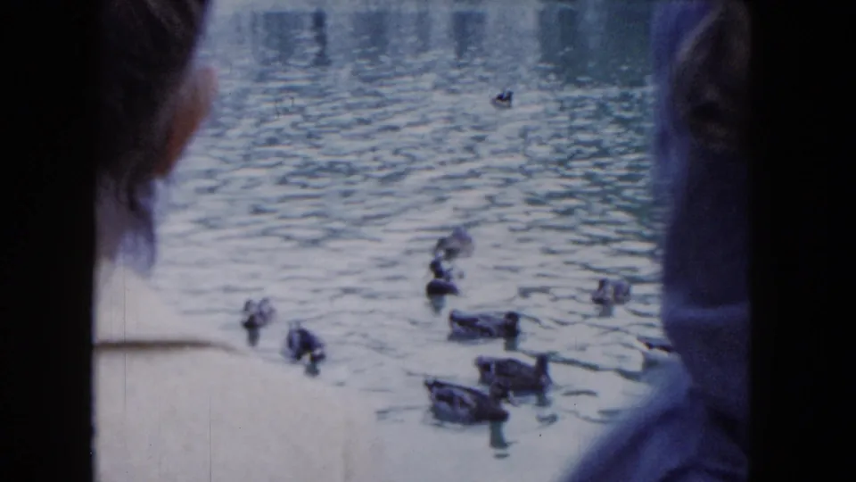 1961 South Carolina home-movie frame with two foreground observers viewed from behind as ducks move across the pond.
