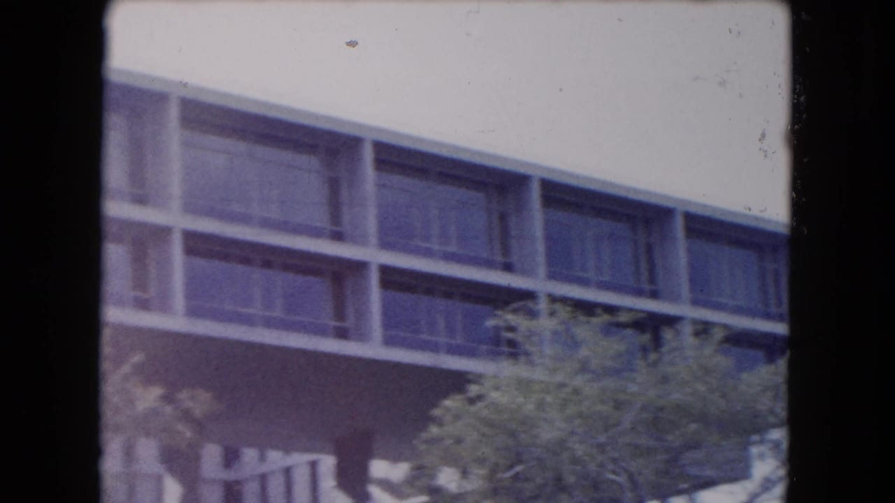 1961 South Carolina exterior frame of a modernist apartment building, with repeated windows and leafy branches in front.