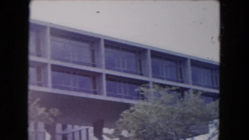 1961 South Carolina exterior frame of a modernist apartment building, with repeated windows and leafy branches in front.