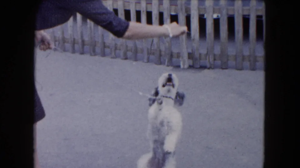 A woman in a dark dress reaches toward the leashed dog as it stands upright in the outdoor South Carolina home-movie scene.
