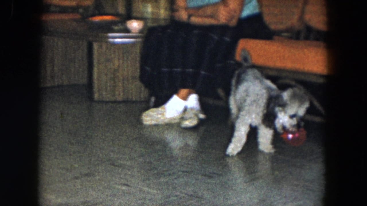 1961 South Carolina home interior frame with a small grey dog holding or nudging a red ball near a seated adult and wicker chair.