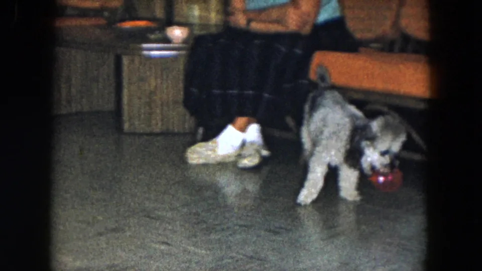 1961 South Carolina home interior frame with a small grey dog holding or nudging a red ball near a seated adult and wicker chair.