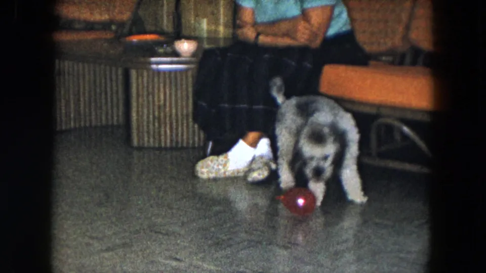 1961 South Carolina home-movie frame with a small dog facing a red ball beside a seated woman in a mid-century living room.