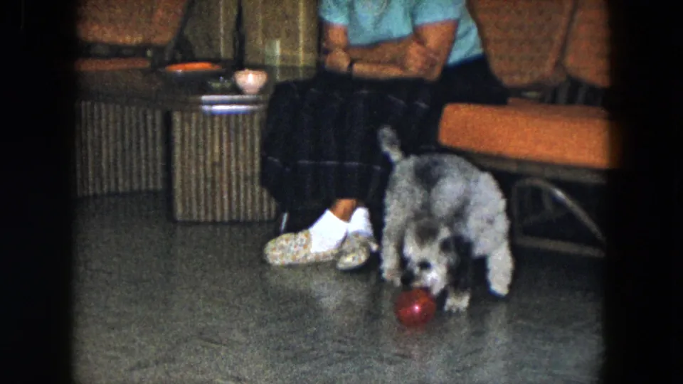 1961 South Carolina home-movie frame showing the dog nosing a red ball near the seated woman's shoes in the living room.