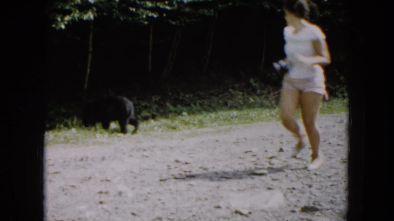 Black bear on a gravel path as a person in light clothing runs past.