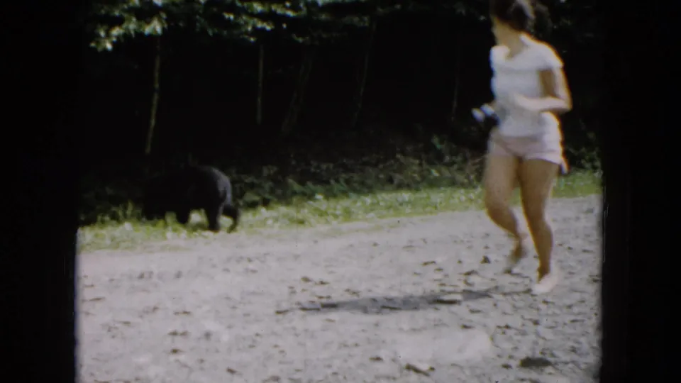 1961 South Carolina 8mm frame showing a black bear near a wooded gravel path while a person in light clothing runs by.