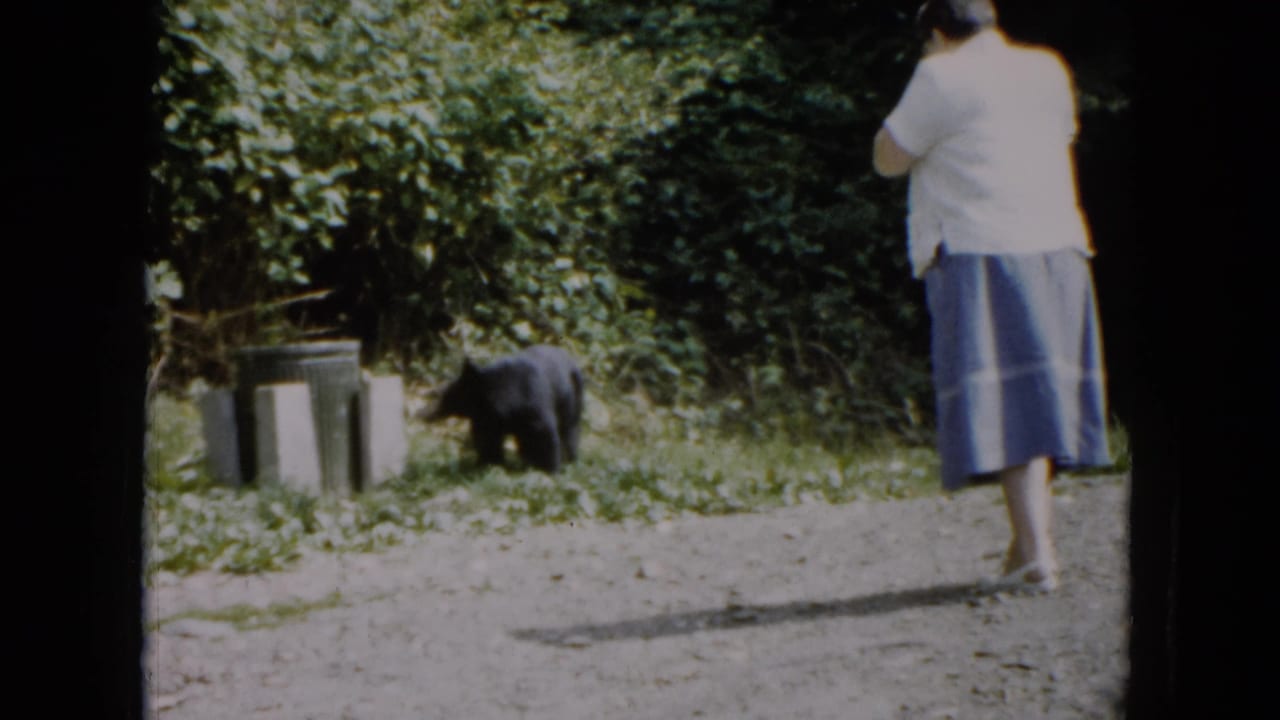1961 South Carolina home-movie frame with a woman observing a black bear near metal trash cans beside dense greenery.