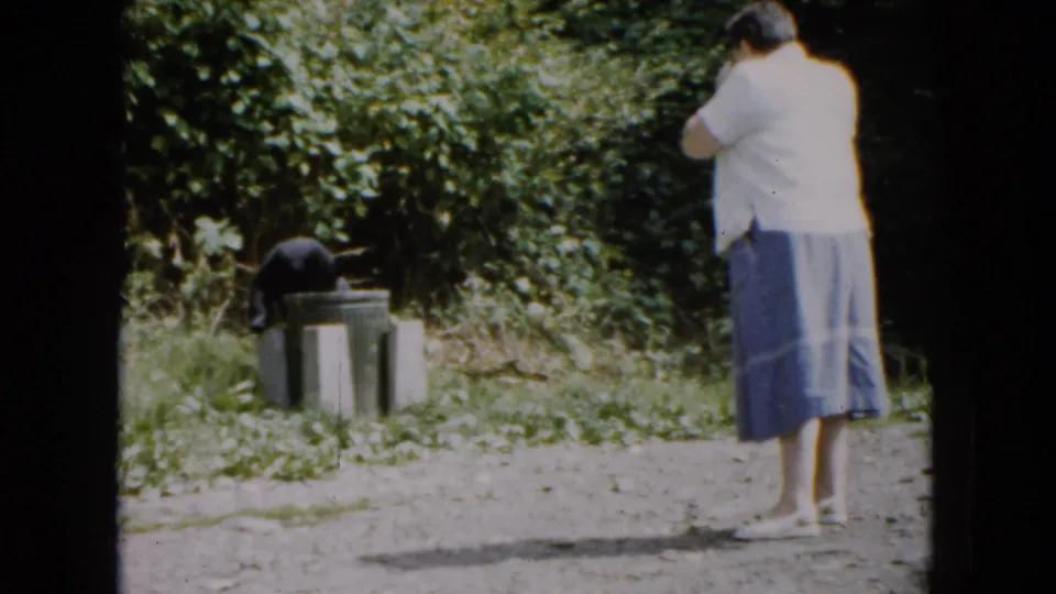 1961 South Carolina 8mm frame showing a black bear at metal trash cans with a woman standing back on the gravel road.