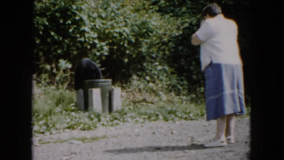 1961 South Carolina home-movie frame of a black bear at roadside trash cans, with a woman observing from several yards away.
