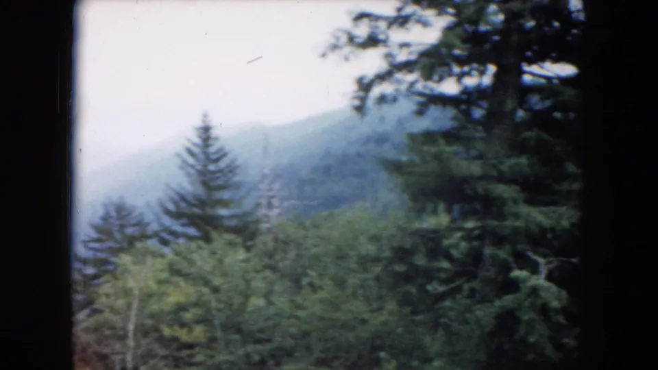 1961 South Carolina 8mm frame showing misty forested hills with evergreen trees, partly obscured by a dark vertical edge.