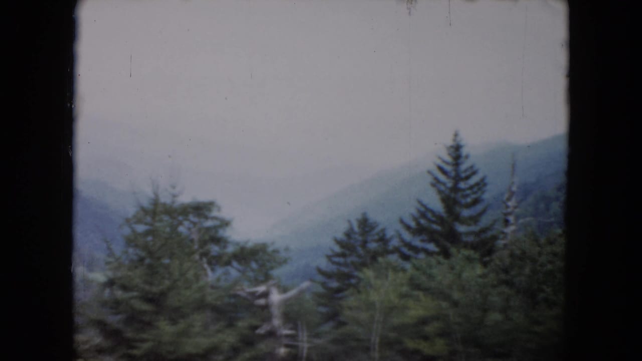 1961 South Carolina 8mm view of wooded mountain slopes and evergreen trees under hazy light.
