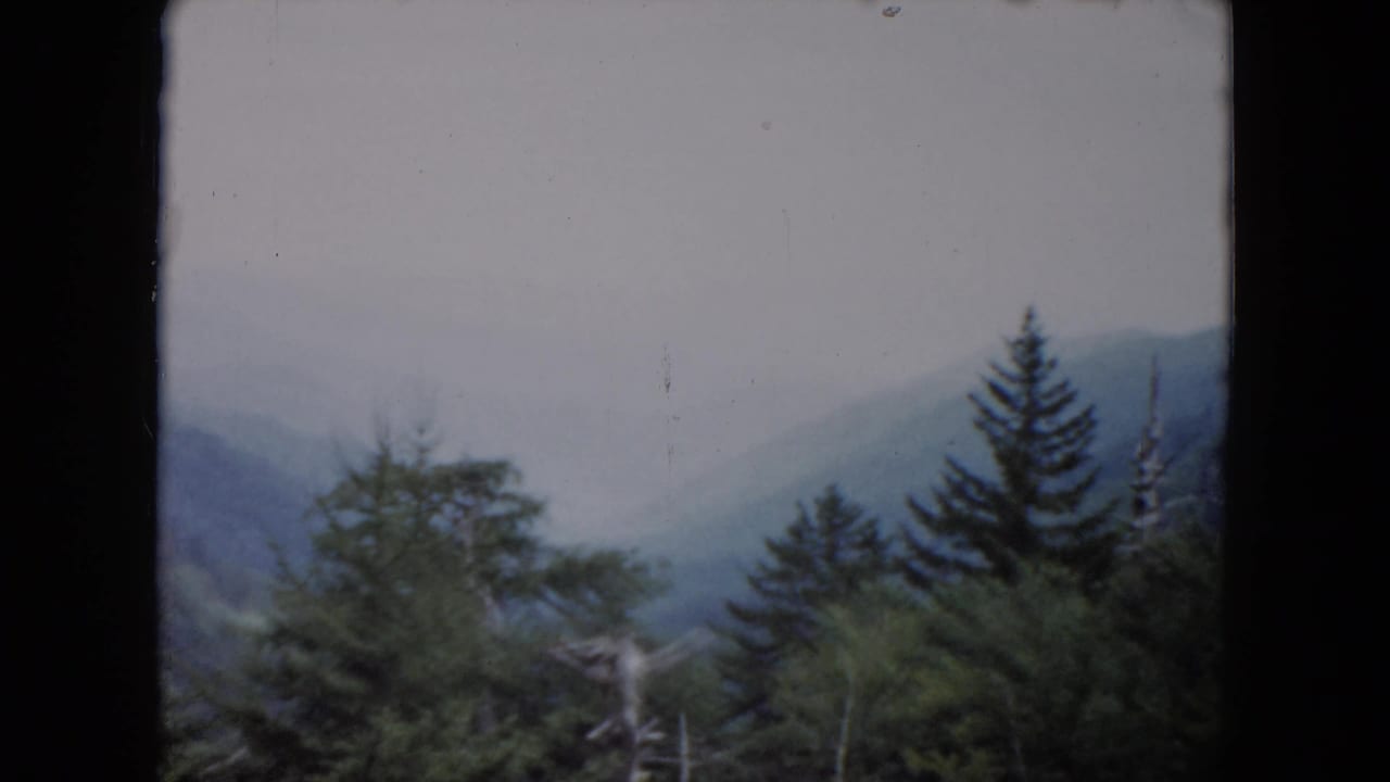 Misty forested mountain ridge seen past dark frame edges.