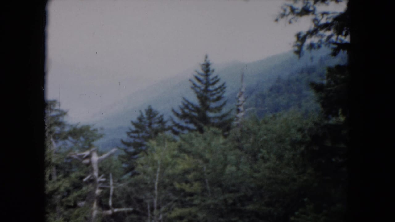 Hazy mountain slope with evergreens and forest in the foreground.