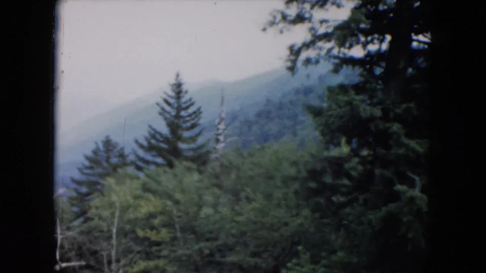 Vintage 8mm view of a misty South Carolina mountain forest, with a central evergreen and wooded slope beyond.
