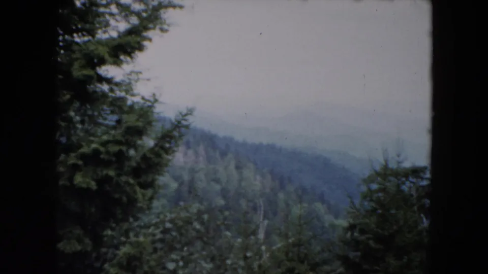 1961 South Carolina 8mm view of a hazy wooded ridge and valley framed by evergreen branches.