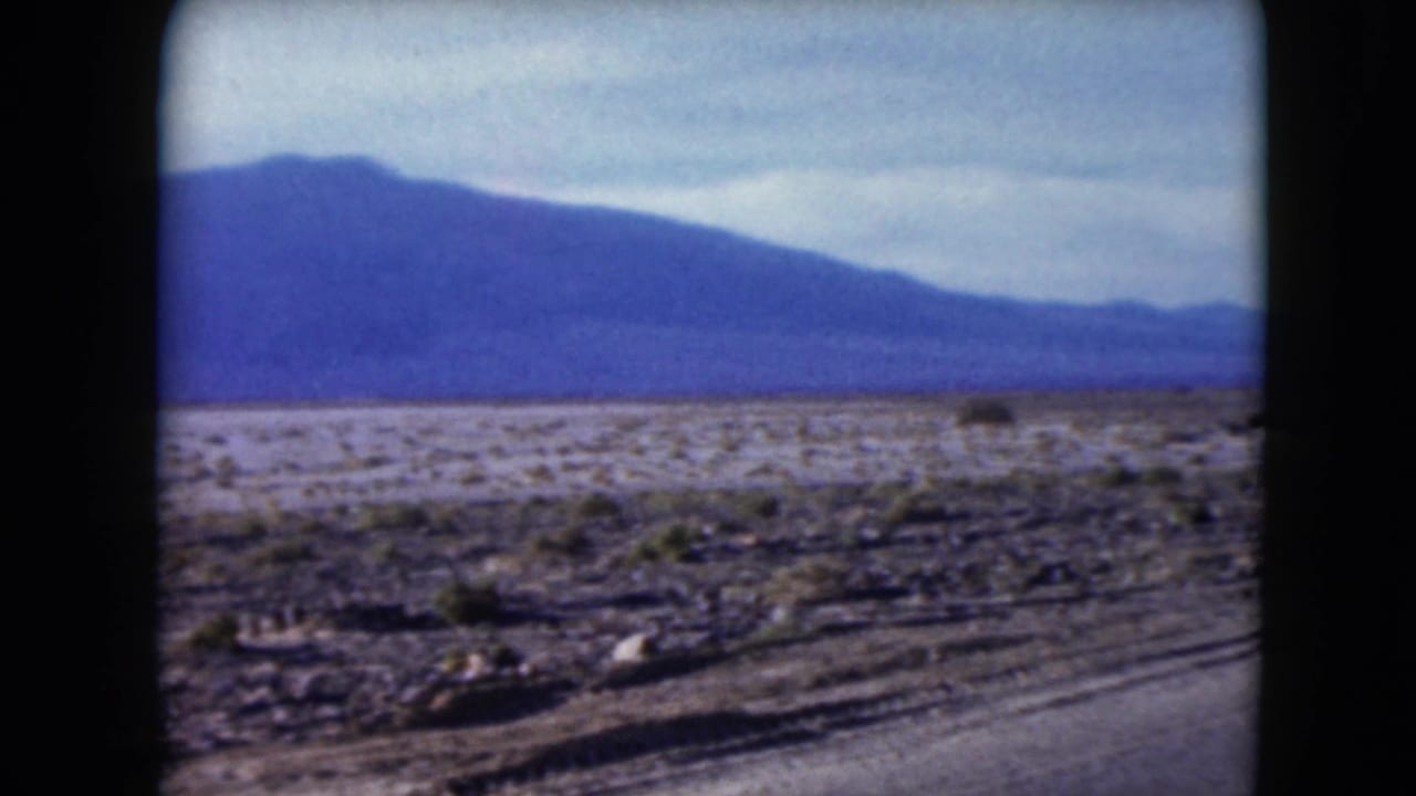 Low desert plain with shrubs and a blue mountain range under a pale sky.