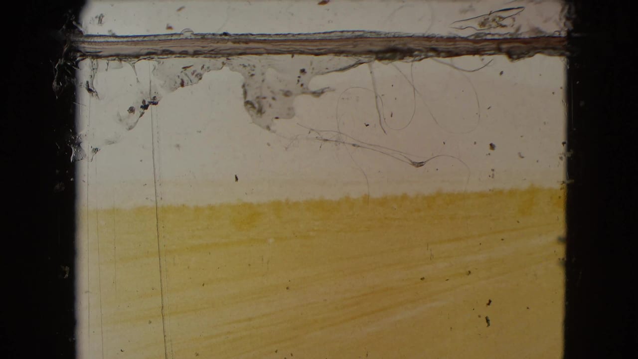 1961 Nevada 8mm frame showing a pale sandy desert view with a faint road surface and visible film wear at the top.
