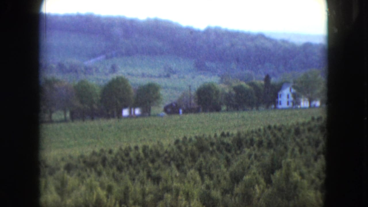 1961 Nevada countryside view with a white farmhouse among trees beyond green fields and low wooded hills.