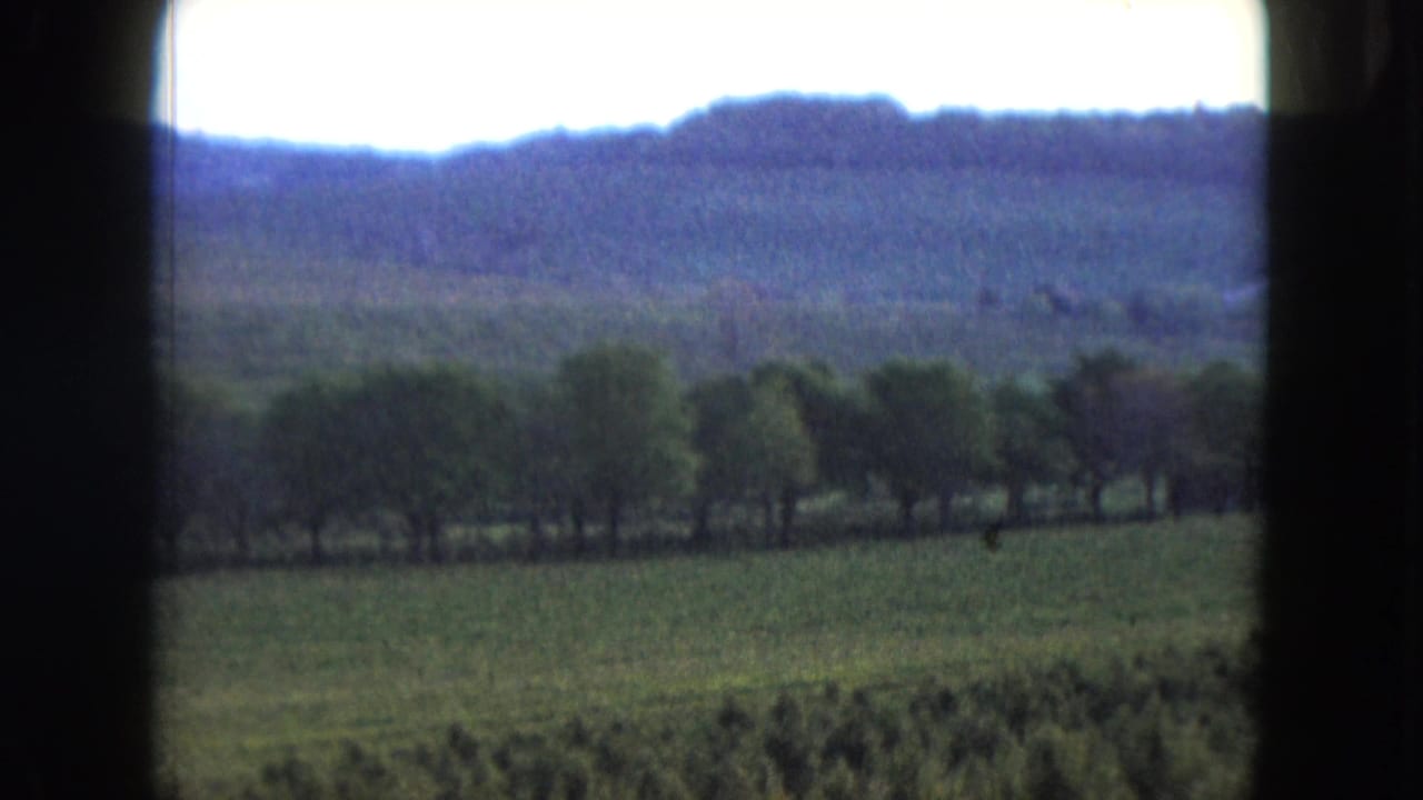Green rural field with tree line and distant wooded hills, framed by dark film edges.